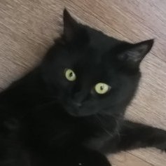 HiKTO