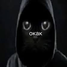 image.png.3eaaaf4aa2919bedca01de9fe4e9b369.png
